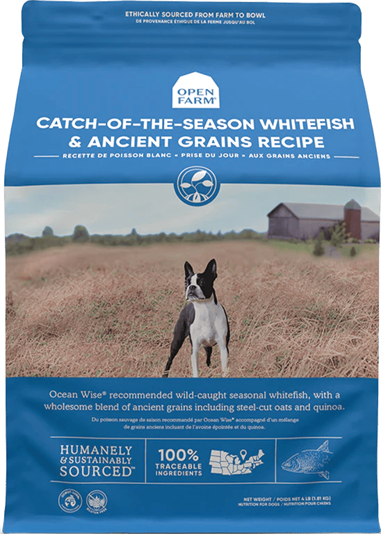 Open Farm – Recette au poisson blanc – Grains anciens