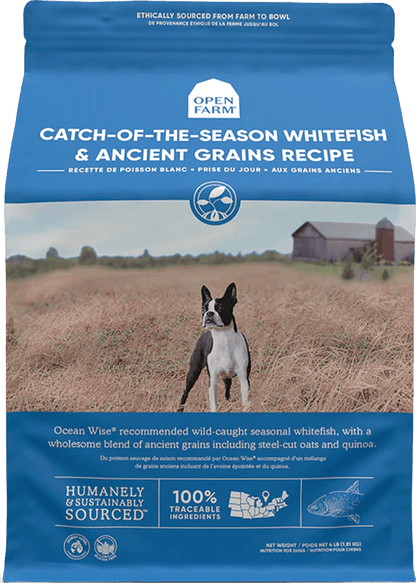 Open Farm – Recette au poisson blanc – Grains anciens