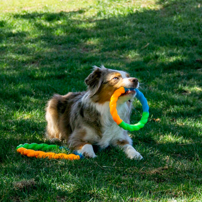 Kong – Anneau Twistz High-Viz