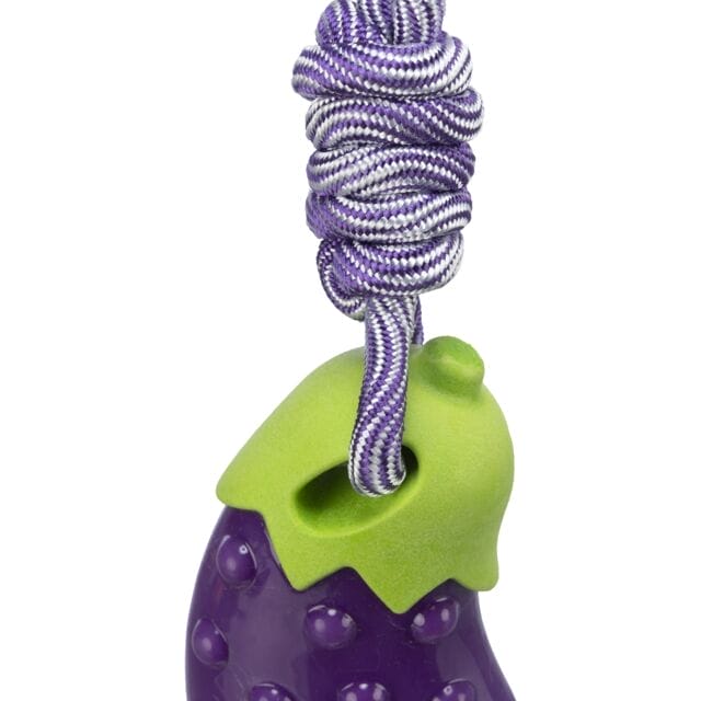 Trixie – Aubergine avec corde