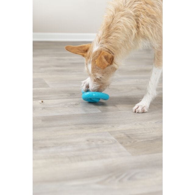Trixie – Snack-Snake enroulé – Distributeur à gâteries