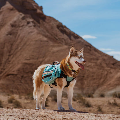 Wilderdog – Sac à dos