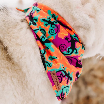 Wilderdog – Foulard rafraîchissant