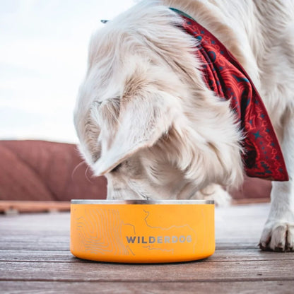 Wilderdog – Bol en acier inoxydable