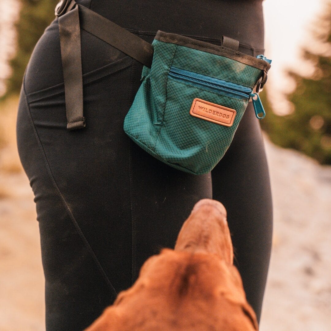 Wilderdog – Pochette pour gâtetries