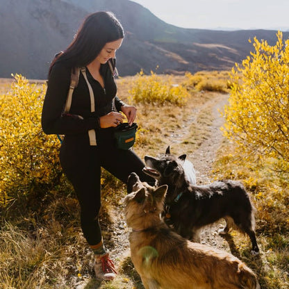 Wilderdog – Pochette pour gâtetries