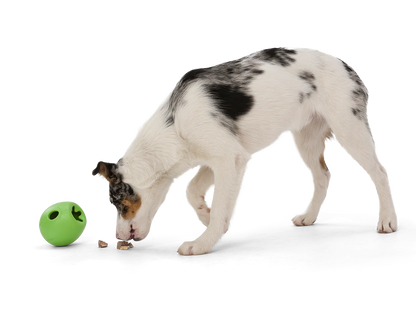 West Paw – RUMBL Zogoflex – Distributeur à gâteries
