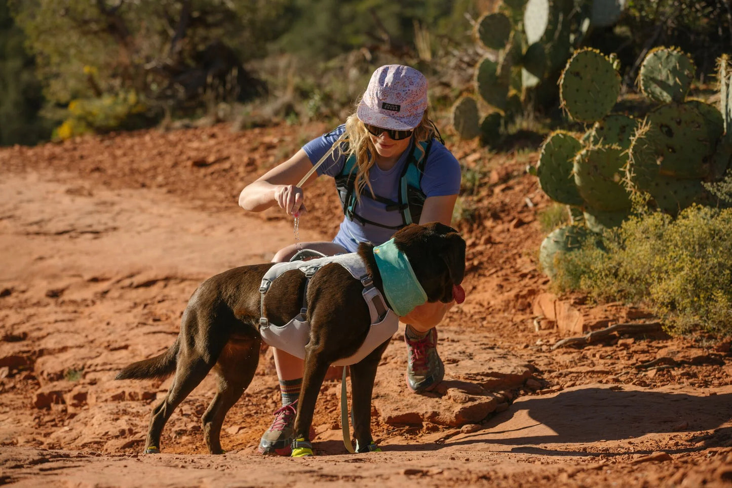 Ruffwear – Harnais rafraîchissant Swamp Cooler - Ancien Modèle