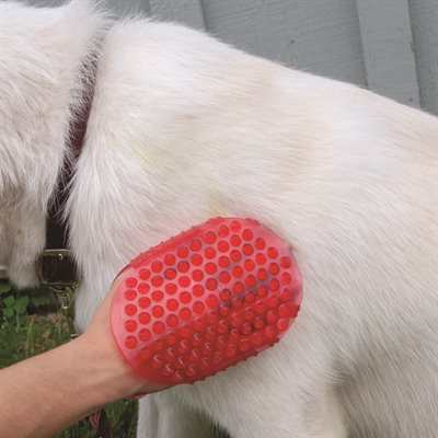 Shedrow K9 – Jelly scrubber