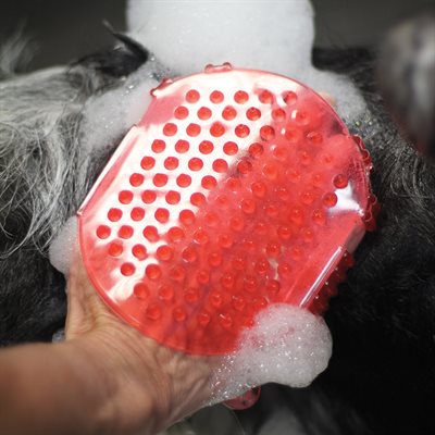 Shedrow K9 – Jelly scrubber