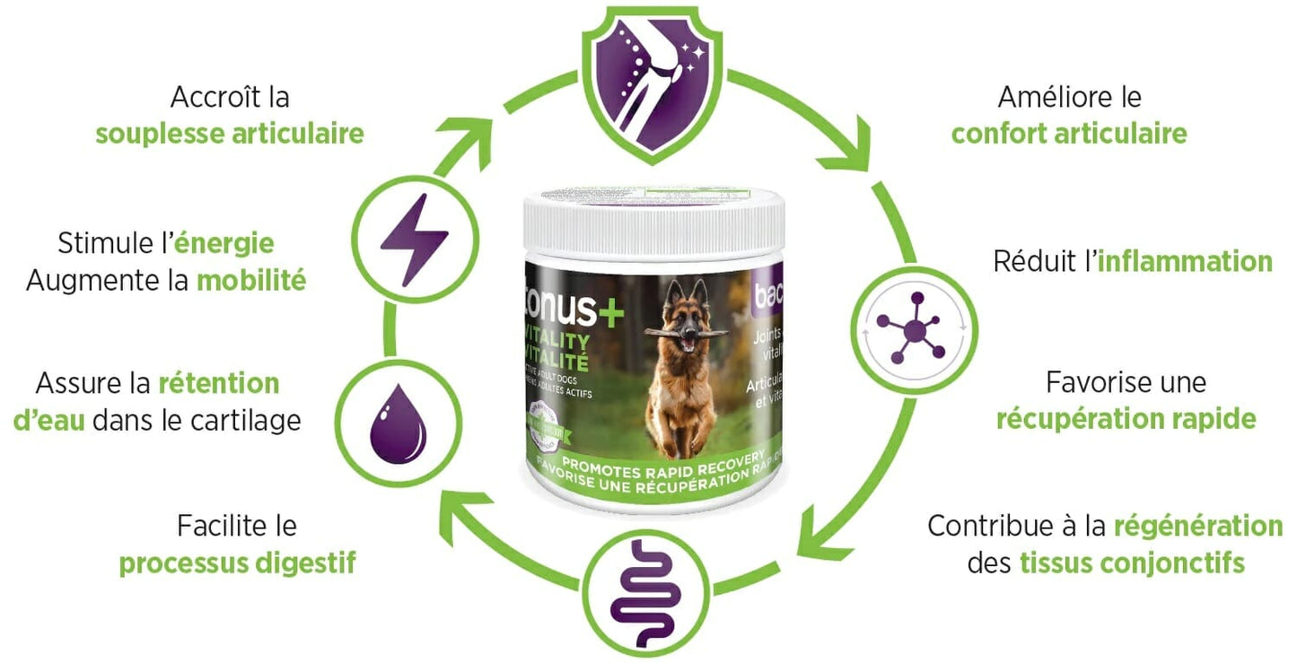 Baci + – Tonus+ santé des articulations – vitalité et récupération