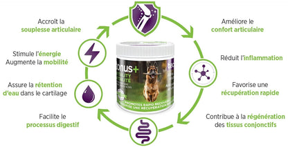 Baci + – Tonus+ santé des articulations – vitalité et récupération