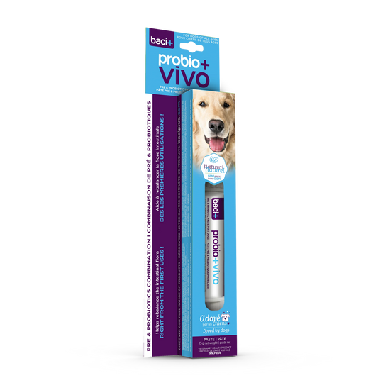 Baci + – Probio+Vivo - Soulagement digestif rapide pour chiens