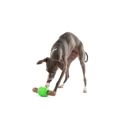 Guru – Spin & Treat
