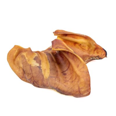 Animago – Petite oreille de porc