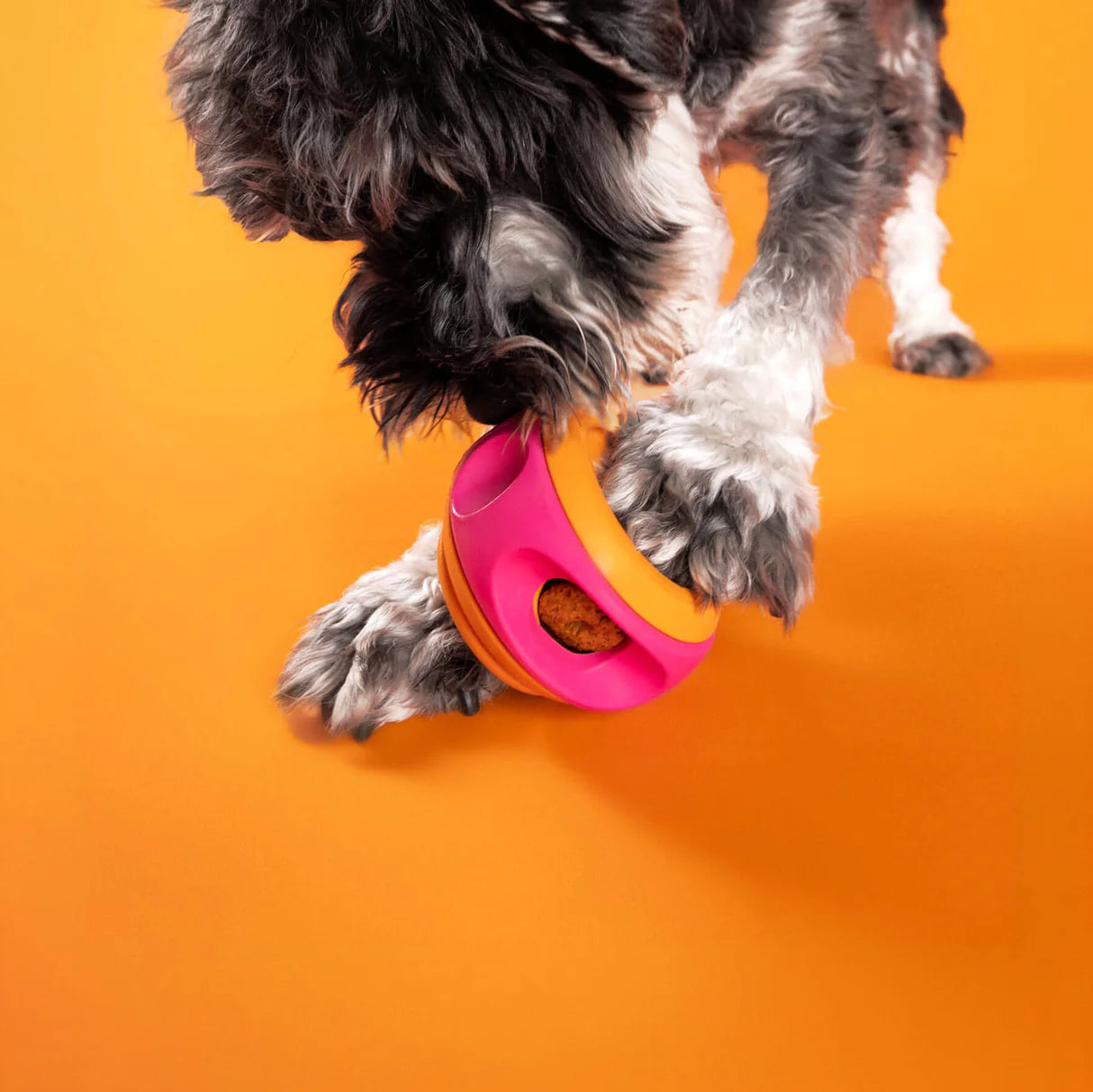 Wag Lab – Play Stack - Jouet intéractif - Spinner
