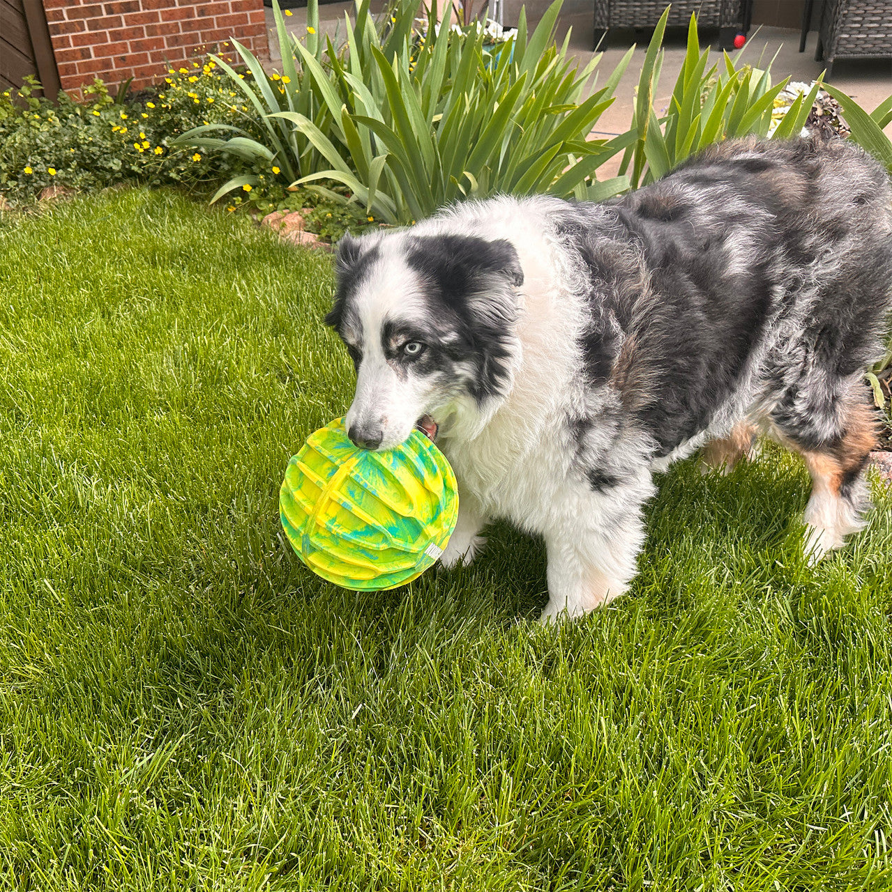 Kong – Flexball sport - Ballon XL