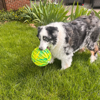 Kong – Flexball sport - Ballon XL