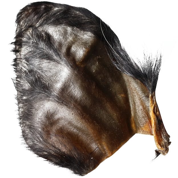 QT Dog – Oreille de buffle d'eau poilu