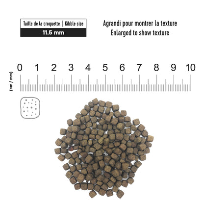 1st Choice – Adulte - Dentaire - Poulet
