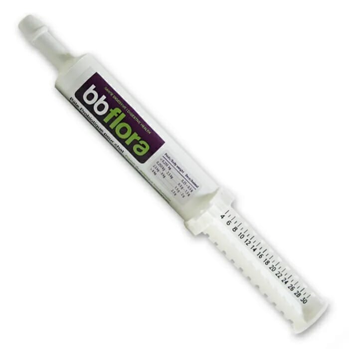 Baci + – bb flora pâte pré et probiotiques – problèmes intestinaux pour chiens