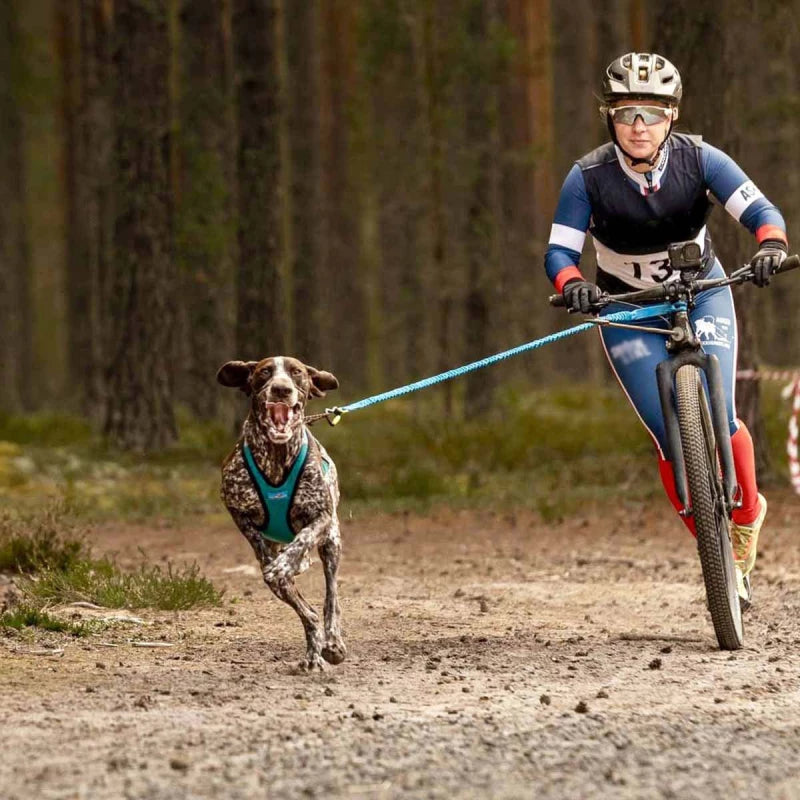 Inlandsis – Bikejor Pro Leash