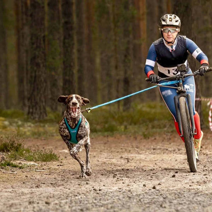 Inlandsis – Bikejor Pro Leash