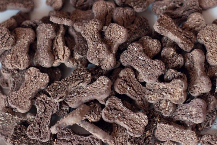 Todd & Paul – Biscuits – Bleuets