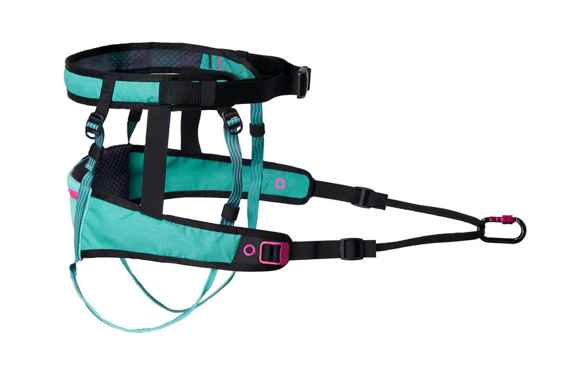 Non-Stop – Ceinture CaniX 2.0