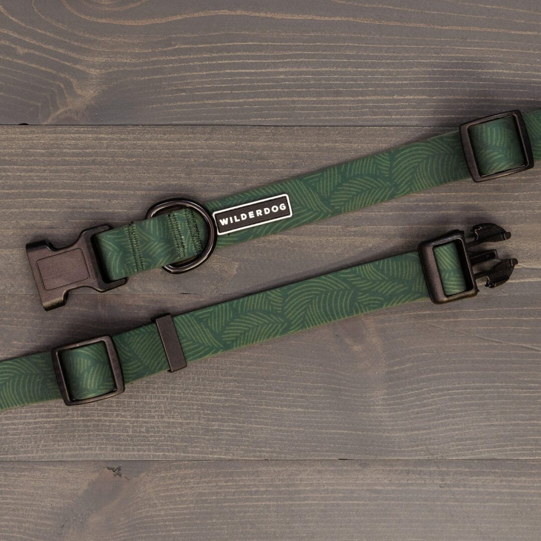 Wilderdog – Collier imperméable