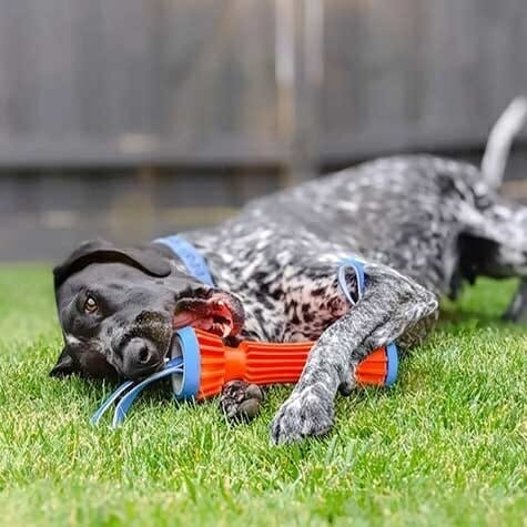 Chuckit! – Bumper