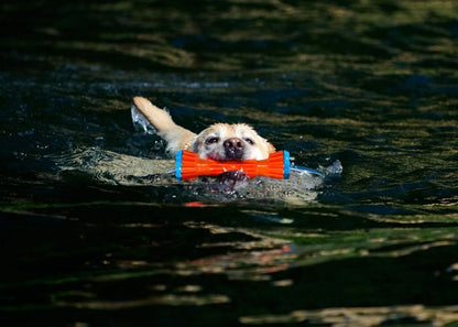Chuckit! – Bumper
