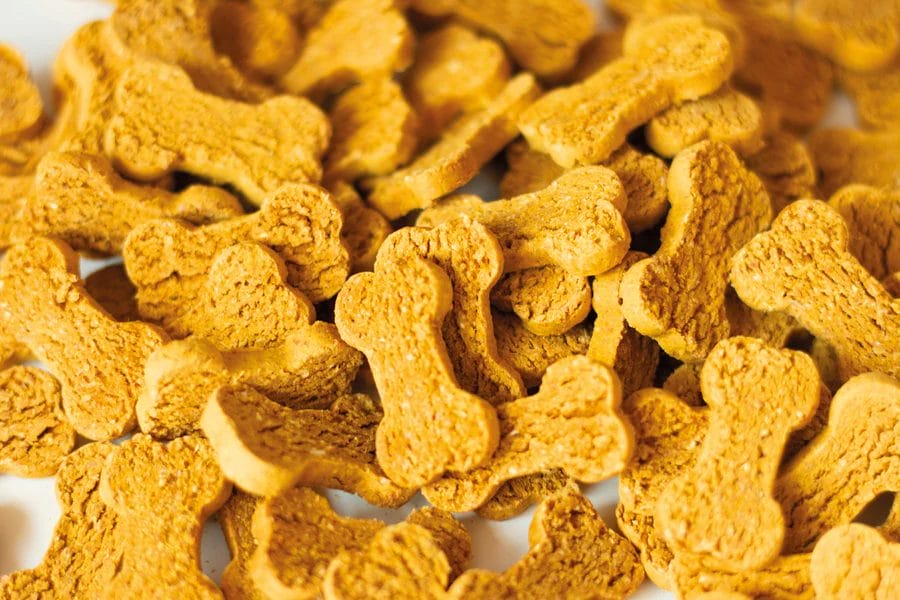 Todd & Paul – Biscuits – Citrouilles