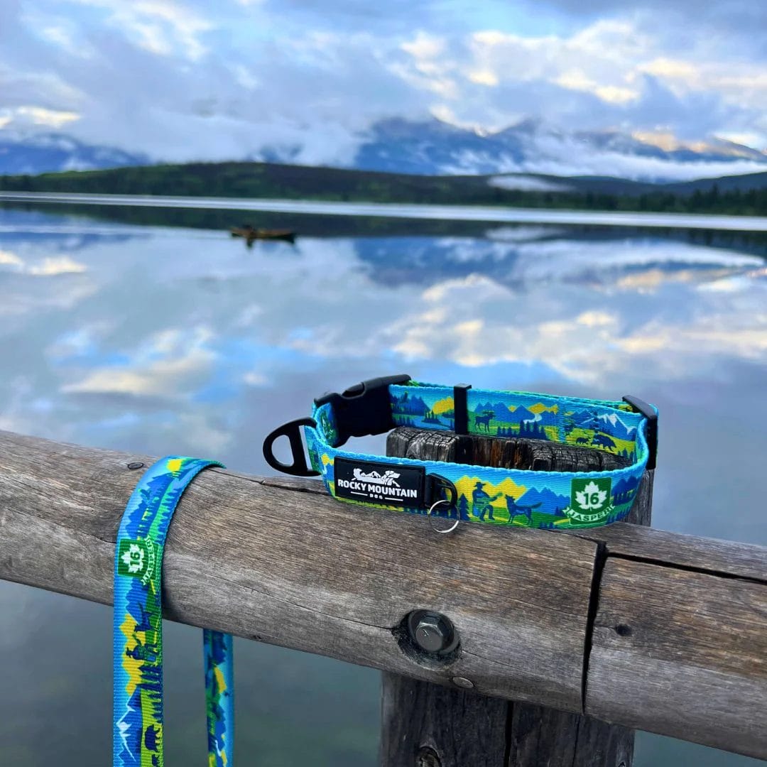 Rocky Mountain Dog – Collier