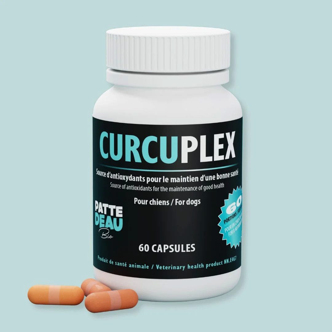 Pattedeau Bio – Curcuplex
