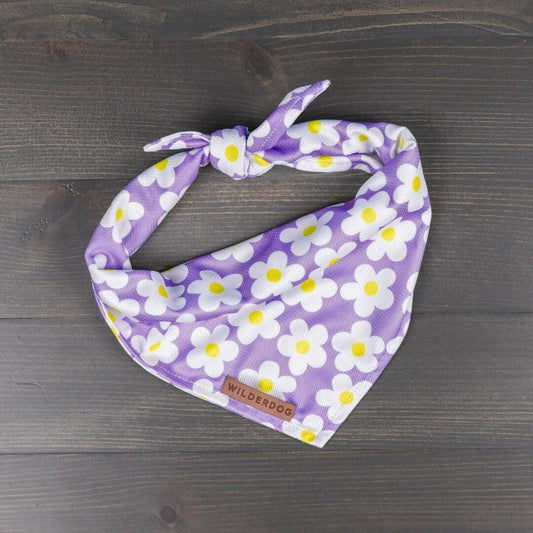 Wilderdog – Foulard rafraîchissant