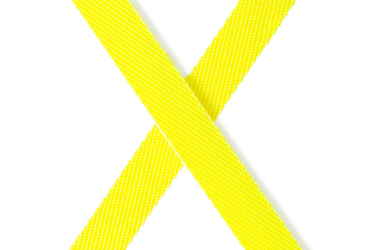 Flexi – Géant - Ruban - 8m