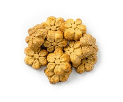 Fruitables – Gâteries citrouille et banane