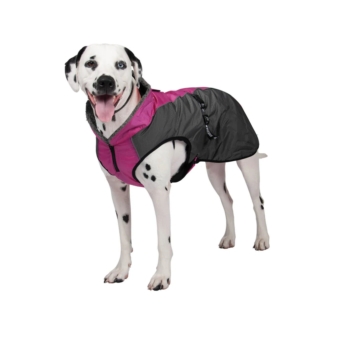 Shedrow K9 – Manteau d'hiver Chinook