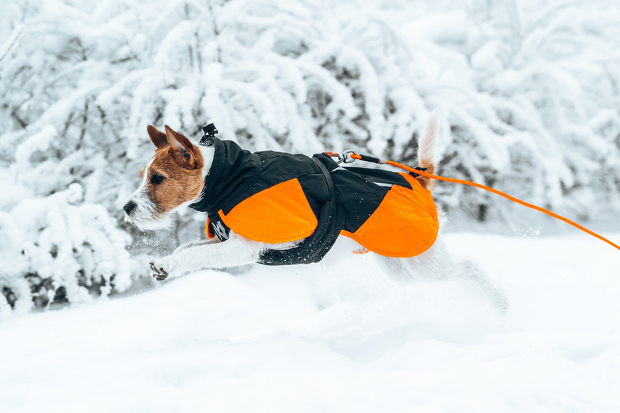 Non-Stop – Manteau glacier 3.0