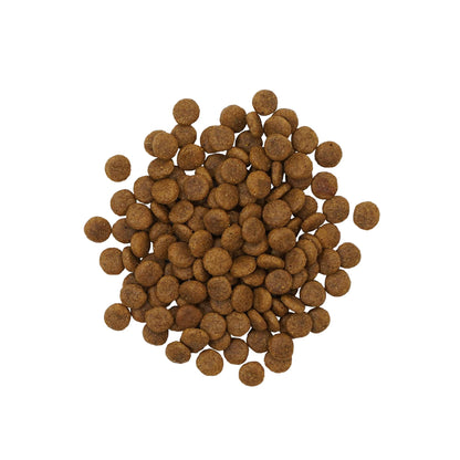 Petcurean – Go! Solutions - Ingrédients Limités – Sans Grains - Insecte