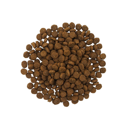 Petcurean – Go! Solutions - Peau + Poils – Chiot grande race - Saumon