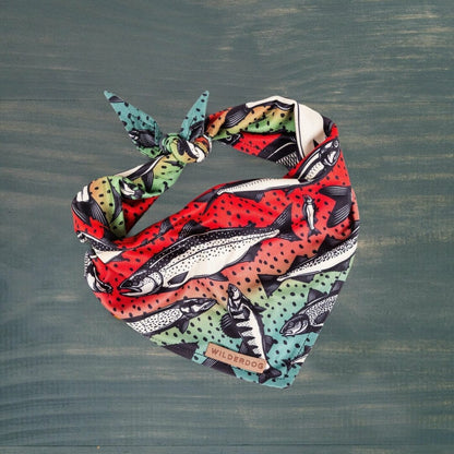 Wilderdog – Foulard rafraîchissant