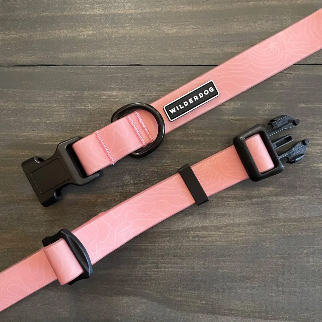 Wilderdog – Collier imperméable