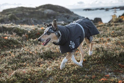 Hurtta – Manteau Extreme Warmer 2