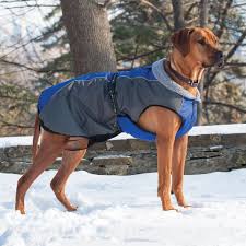 Shedrow K9 – Manteau d'hiver Chinook