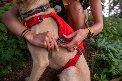 Ruffwear – Sac à Dos Switchbak