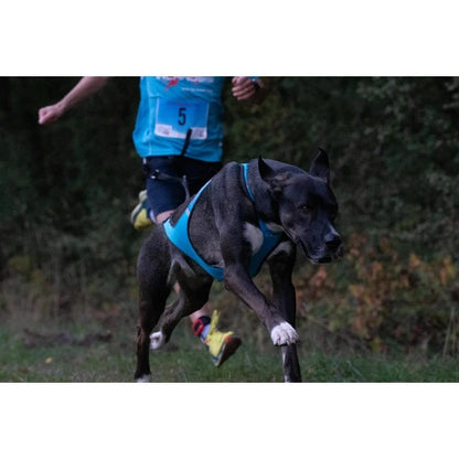 Inlandsis – Harnais Blizzard Beast