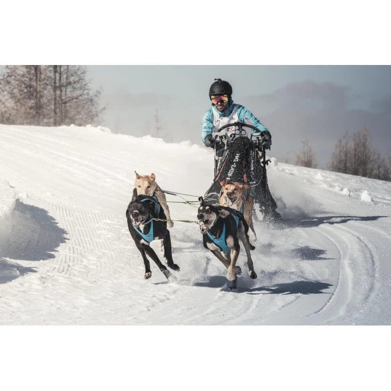 Inlandsis – Harnais Blizzard Beast