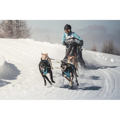 Inlandsis – Harnais Blizzard Beast